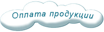 payment